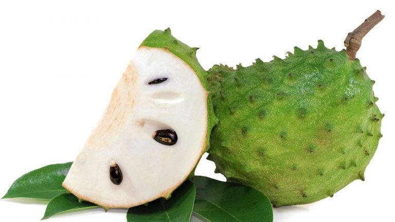 Khasiat Buah dan Daun Sirsak Luar Biasa