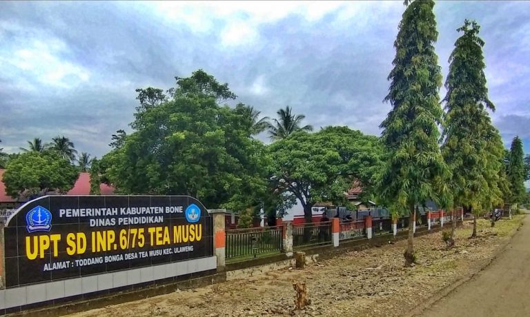 SD Inpres 6/75 Butuh Bangunan Perpustakaan