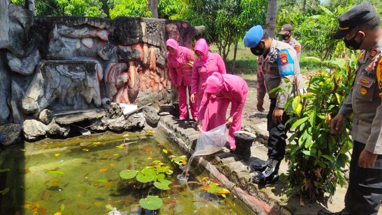 Sukseskan Program Ketahanan Pangan, Bhayangkari Cabang Wajo Tinjau Pekarangan Pangan Lestari