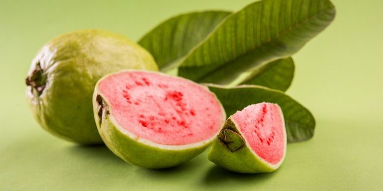 Empat Makanan yang Baik untuk Meningkatkan Imunitas Tubuh selama Pandemi