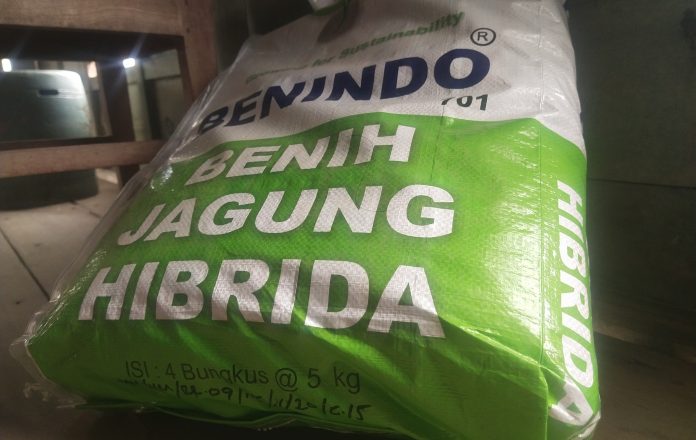 Satu karung benih jagung bantuan