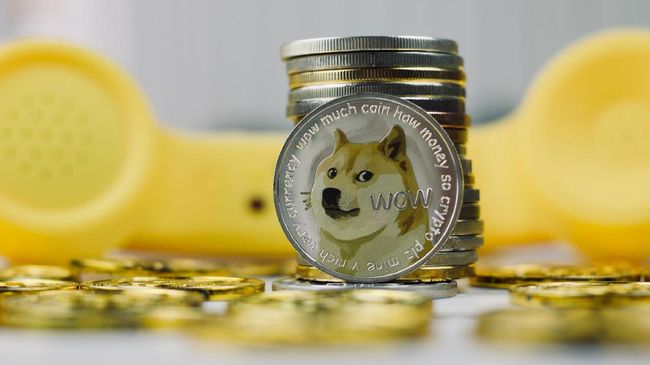 Shiba Inu Menjadi Pesaing Cripto Meme dan Dogecoin, Begini Faktanya!