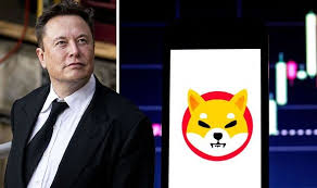 Elon Musk Kembali Bertingkah Berdampak Koin Shiba Inu Melonjak