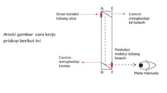 Kunci Jawaban Subtema 3: Laporan Percobaan Membuat Periskop Sederhana Tema 5 Kelas 4 SD 