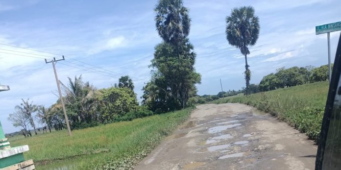 Tak Kunjung Diperbaiki, Warga Pasir Putih Keluhkan Jalan Rusak