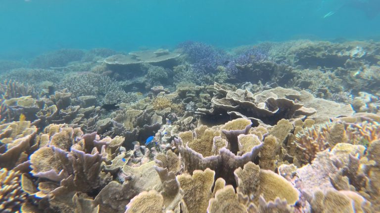 Kenapa Air Laut Asin? Cari Tahu Yuk