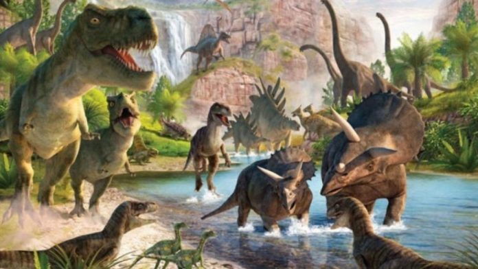 5 Penemuan Fosil Dinosaurus Paling Menarik Dipelajari