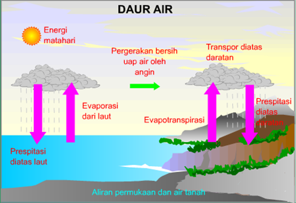 Pengertian Daur Biogeokimia, Fungsi dan Macam-Macam Siklus