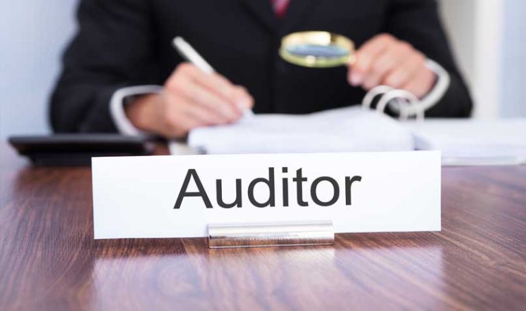 Makalah Peran Audit Internal Dalam Penerapan Enterprise Risk Management