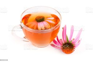 Rekomendasi Teh Herbal yang Efektif Meredakan Flu