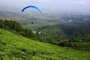 Bukit Paralayang Puncak Bogor