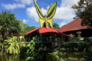 Bali Butterfly Park – Bali