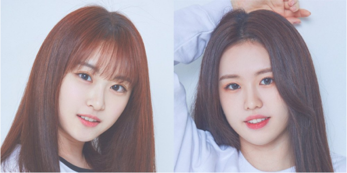 Girl group Pendatang Baru ILY:1 dan Potret Profil Pra-debut Para Membernya