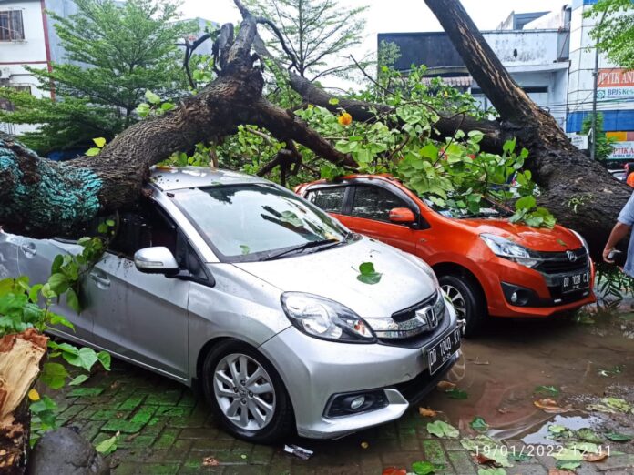 Pohon Tumbang Menimpa 3 Mobil di Depan RS Labuang Baji