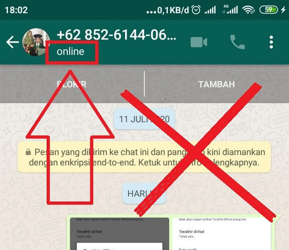 Tips Sembunyikan Status Online Whatsapp Tanpa Ketahuana