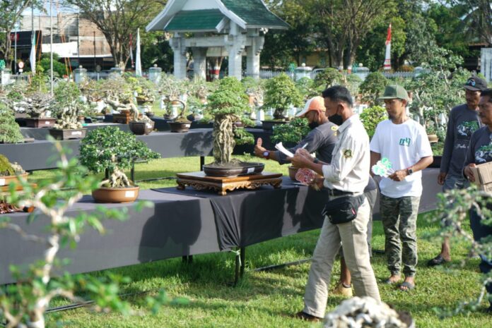 Pameran Bonsai 