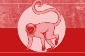 Cek Peruntungan Shio Monyet dan Ular 19 Februari 2022