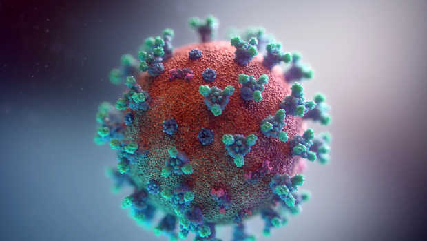 virus NeoCov