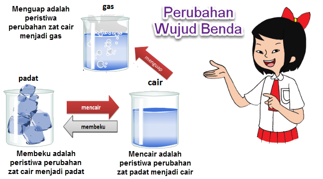 Kunci Jawaban Tema 7 Kelas 5, Subtema 1 Pembelajaran 2 Halaman 22, 23, 24, 25, 26, 27 dan 28