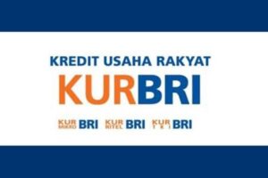 Cara Beserta Syarat Pengajuan KUR BRI Terbaru Tahun 2022