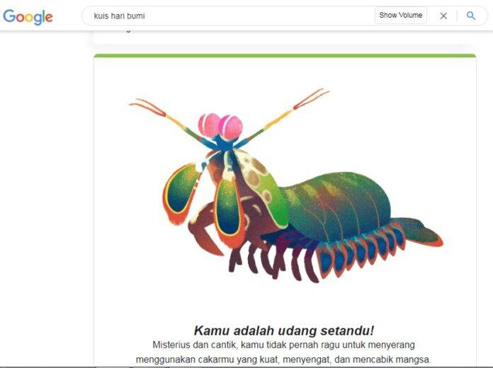 Makna Hewan di Kuis Hari Bumi Google 2022. Yuk Cek Kepribadian Kamu