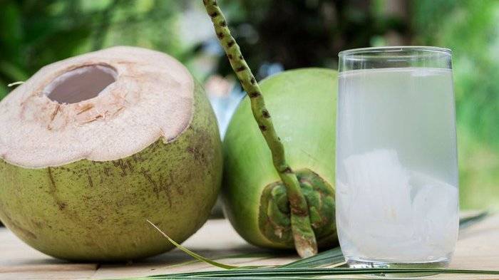 Habis vaksin minum air kelapa