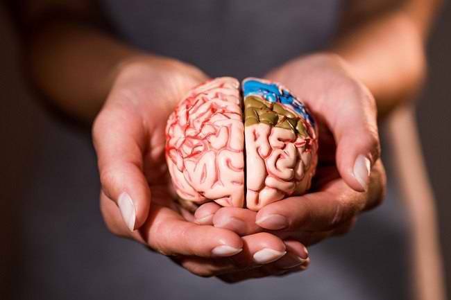 Ukuran Otak Menyusut Karena Covid-19, Begini Penjelasan Para Dokter