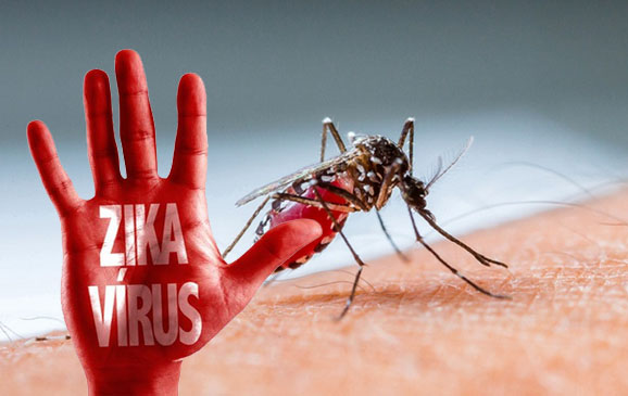 virus zika