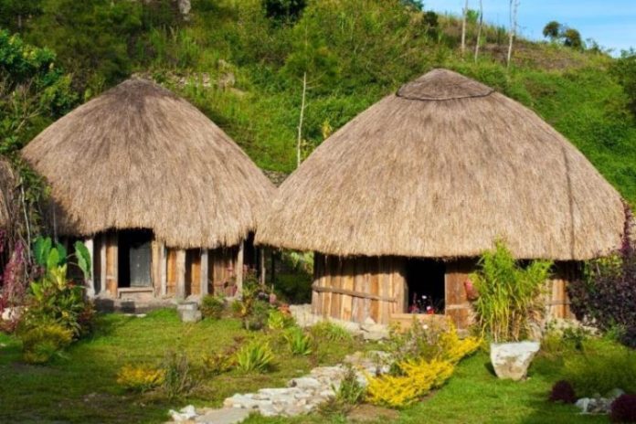 5 Jenis Rumah Adat Papua, Nama, Gambar Lengkap penjelasannya