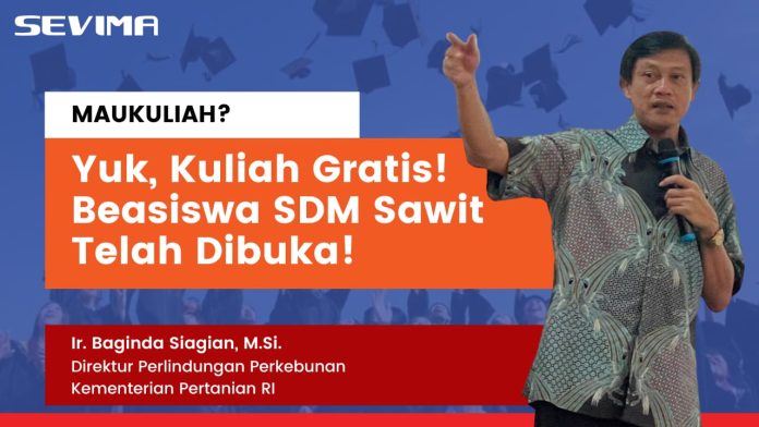 Beasiswa SDM Sawit Telah Dibuka, Kesempatan Kuliah Gratis Bagi Generasi Muda