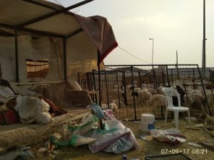 Tempat pemotongan hewan Qurban di Mekah.