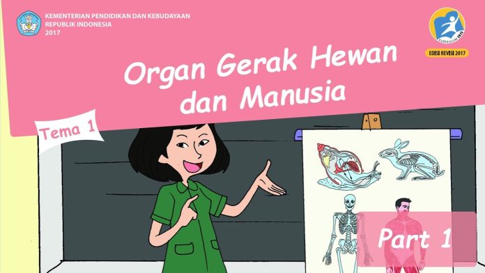 Organ Gerak Hewan dan Manusia