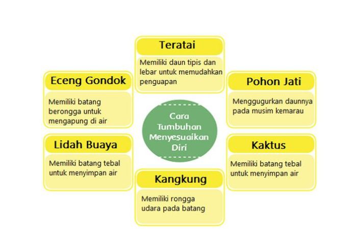 Kunci Jawaban Tema 2 Kelas 6 Subtema 1 Halaman 21, 24 Pembelajaran 3