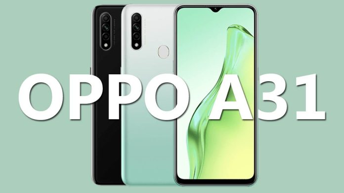 Spesifikasi dan Harga HP OPPO A31 RAM 6 GB