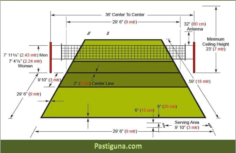 Gambar Lapangan Bola Voli dengan Keterangan