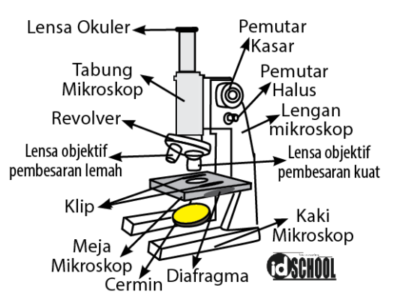 Bagian-bagian mikroskop