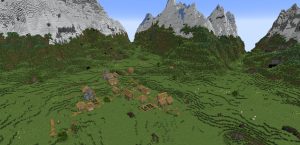 View Apik Minecraft