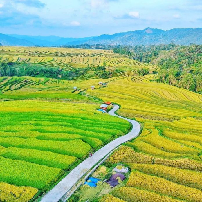 Selamat! Desa Wisata Barania Raih Juara Pertama ADWI 2022 Kategori CHSE