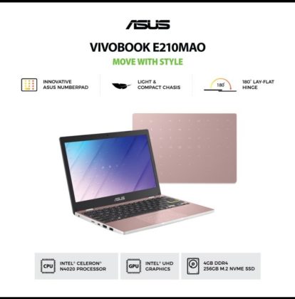 Asus Vivobook E210MAO