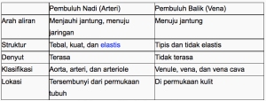 tabel karakteristik dan perbedaan pembuluh darah nadi (arteri) dan pembuluh darah balik (vena)