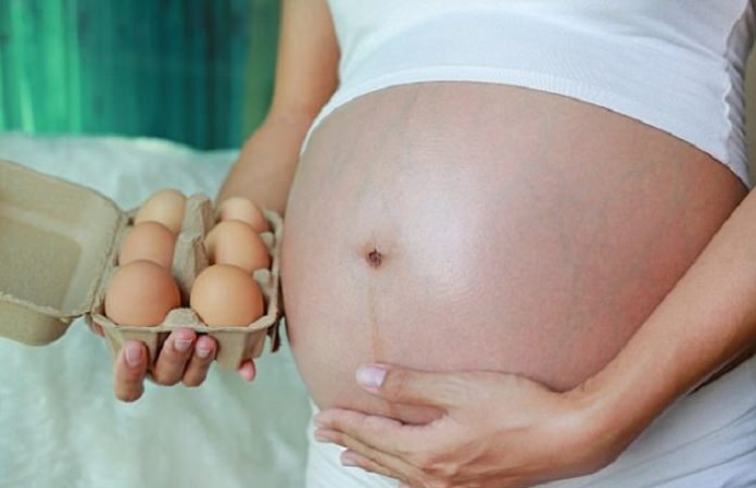 Ibu Hamil Tidak Boleh Makan Telur, Mitos atau Fakta?