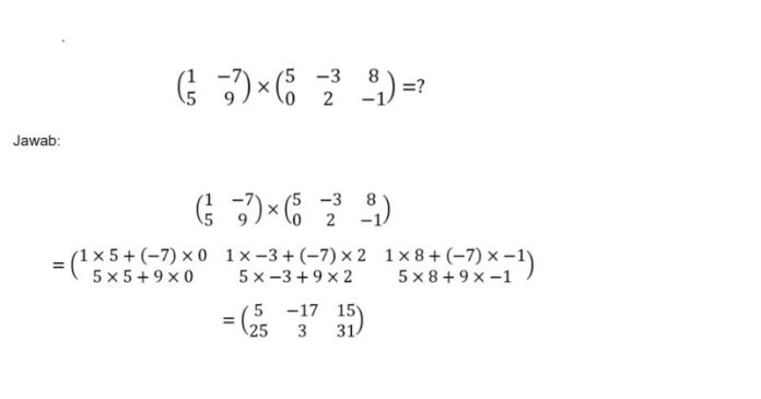 Perkalian Matriks, Fungsi dan Contoh Soal Lengkap Penyelesaiannya