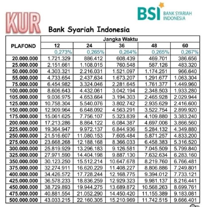 KUR BSI 2023 Telah Dibuka