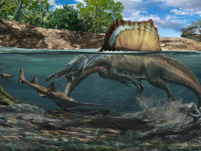 6 Fakta Unik Dinosaurus Spinosaurus Yang Dijuluki Moster Sungai