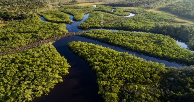 Hutan Amazon