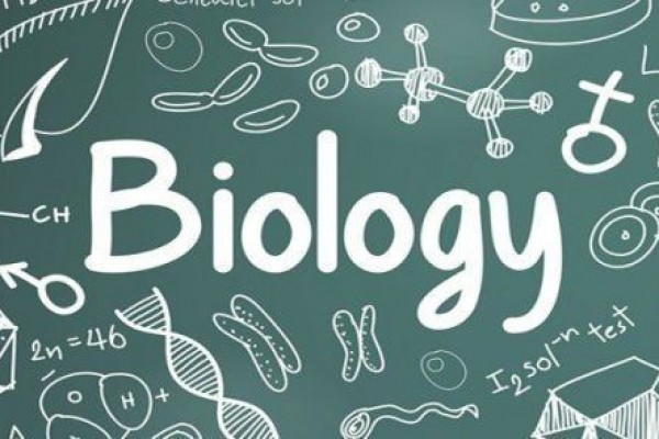 Kunci jawaban Soal PAS Biologi kelas 10