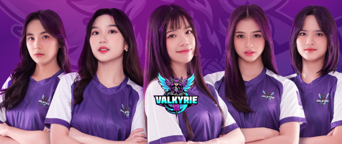 Profil Valkyrie48