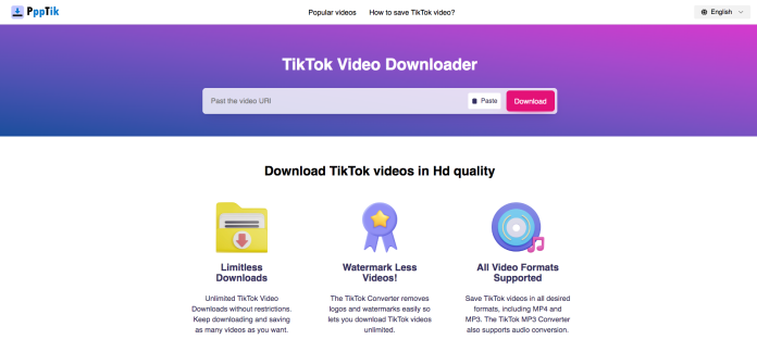 Pengunduh Video TikTok Tanpa Tanda Air