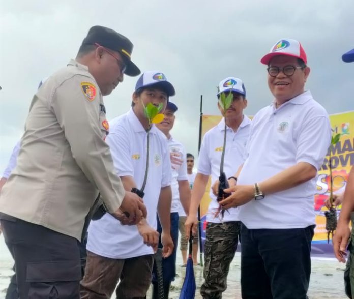 Rektor UNM Tanam 1.000 Pohon Mangrove di Pantai Baluno Sulbar