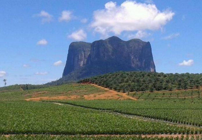 Bukit ‘’Batu Daya’’, Pesona yang Lagi Hits di Kalimantan Barat